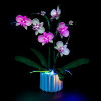 Thumbnail for Lights Set DIY LED Lights Set For Ideas 10311 Orchid Plant Construction Set Toys - 4