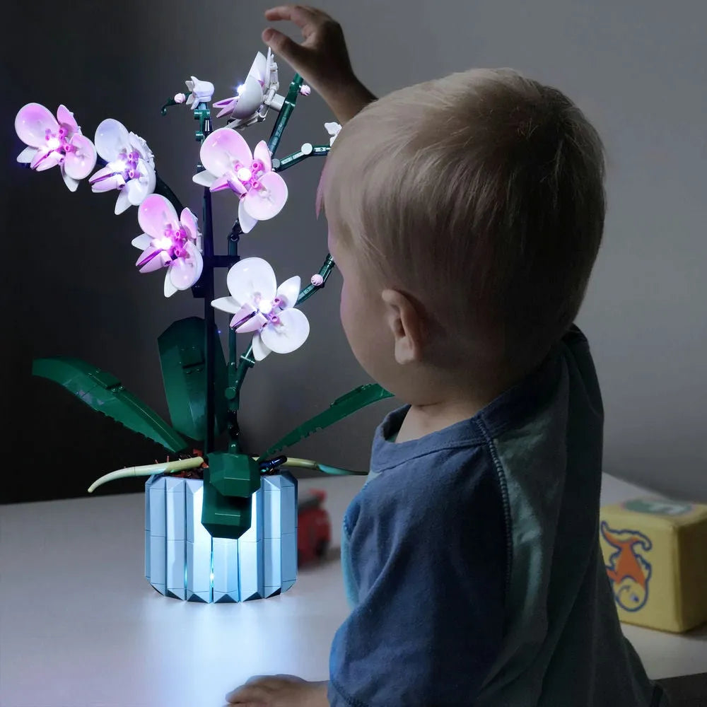 Lights Set DIY LED Lights Set For Ideas 10311 Orchid Plant Construction Set Toys - 12