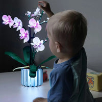 Thumbnail for Lights Set DIY LED Lights Set For Ideas 10311 Orchid Plant Construction Set Toys - 12