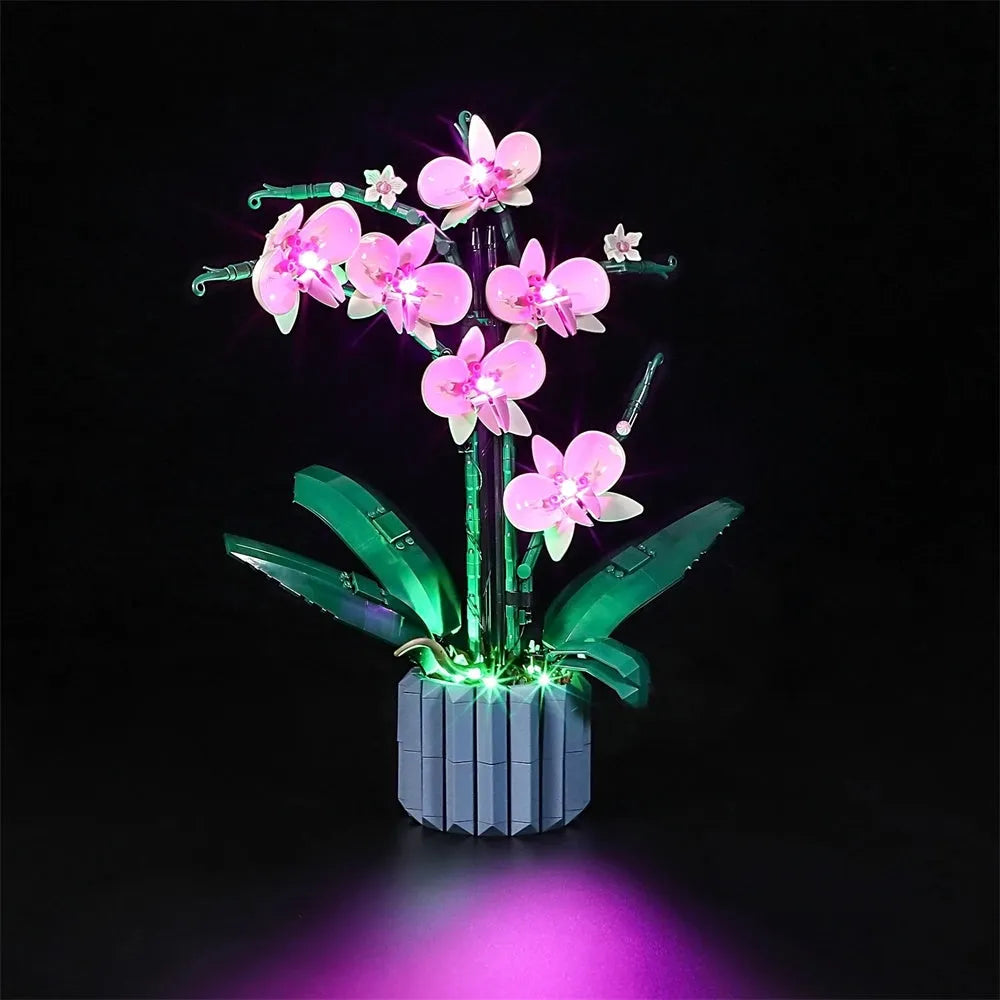 Lights Set DIY LED Lights Set For Ideas 10311 Orchid Plant Construction Set Toys - 1