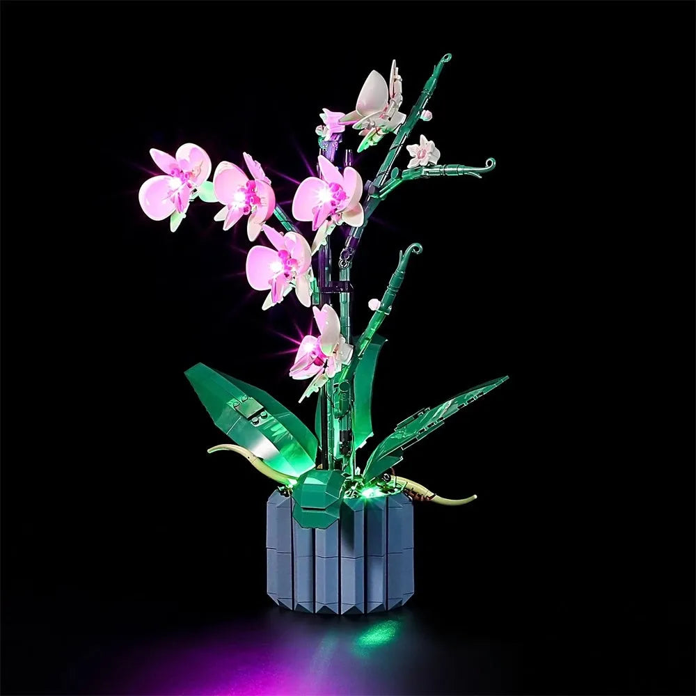 Lights Set DIY LED Lights Set For Ideas 10311 Orchid Plant Construction Set Toys - 9